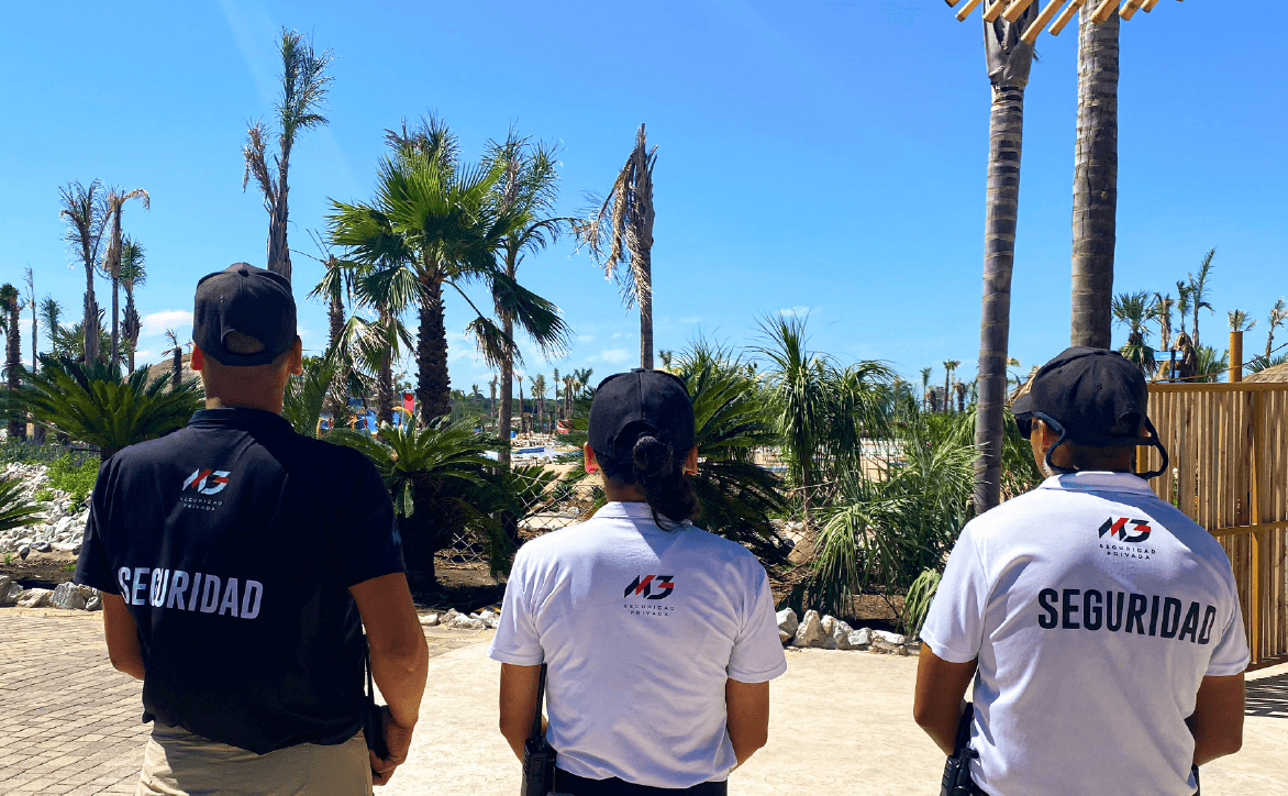 Seguridad Corporativa y Empresarial 3